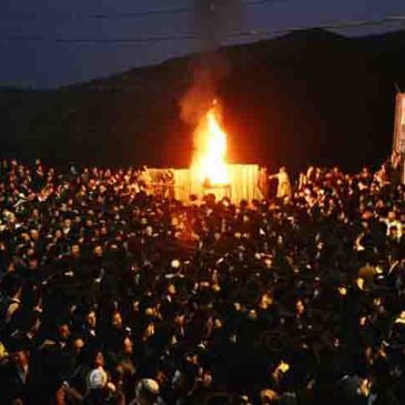 Lag B’omer seminar: From Honor to Name